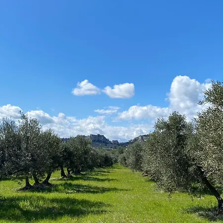 Ferienwohnung Au Pied Des Alpilles Paradou Exterior foto