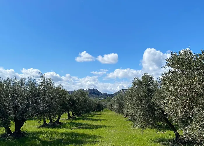 Au Pied Des Alpilles