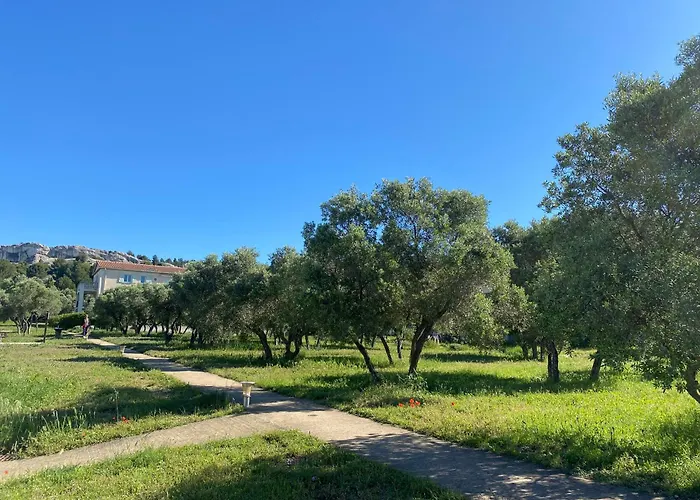 Au Pied Des Alpilles