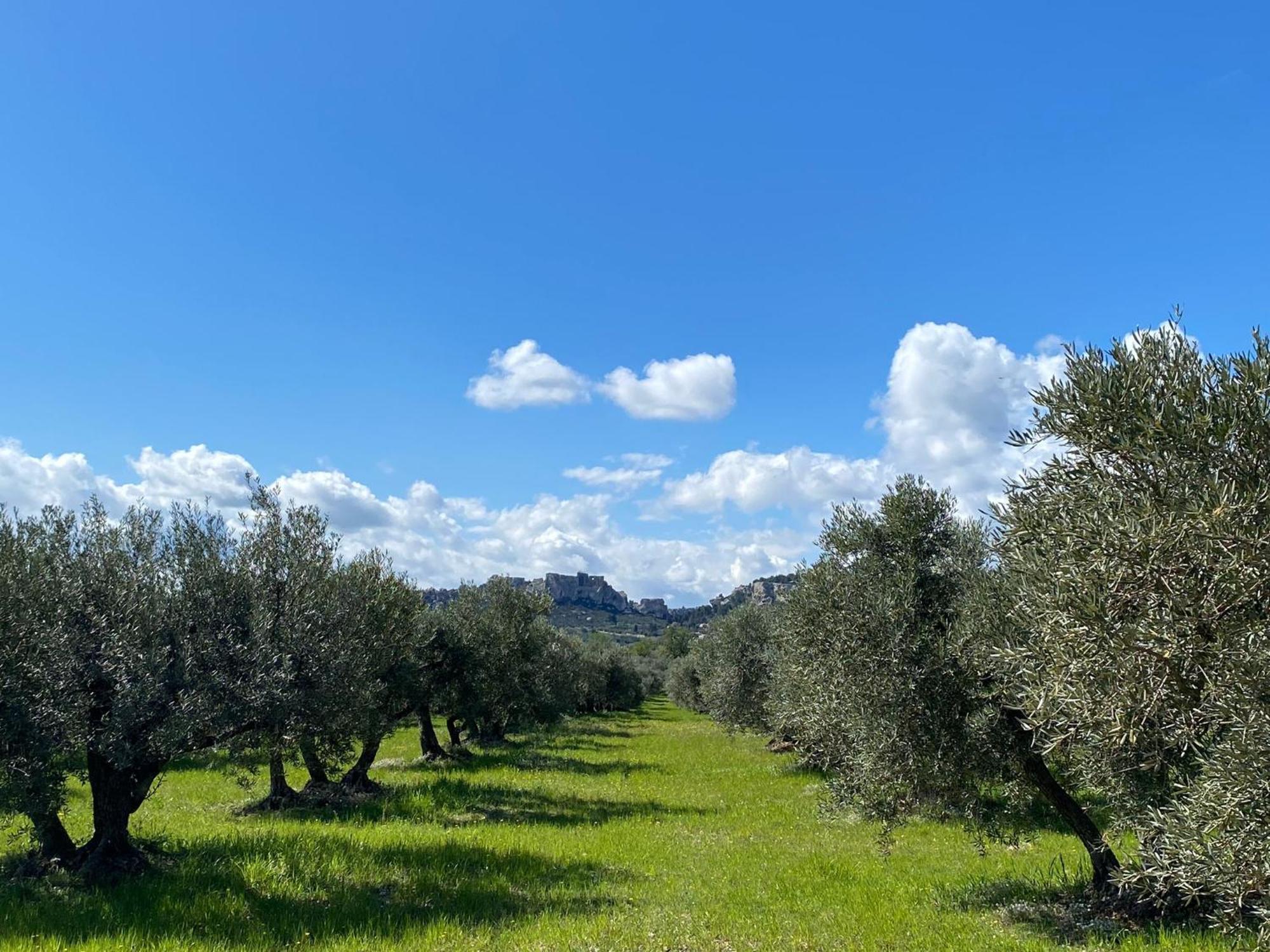 Au Pied Des Alpilles Paradou
