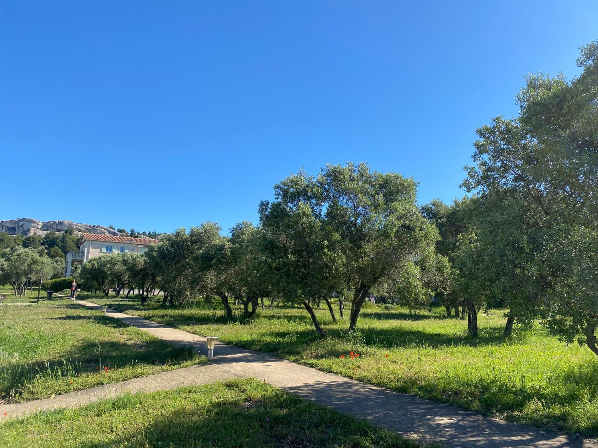 Au Pied Des Alpilles * Paradou